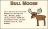 Bull Moose